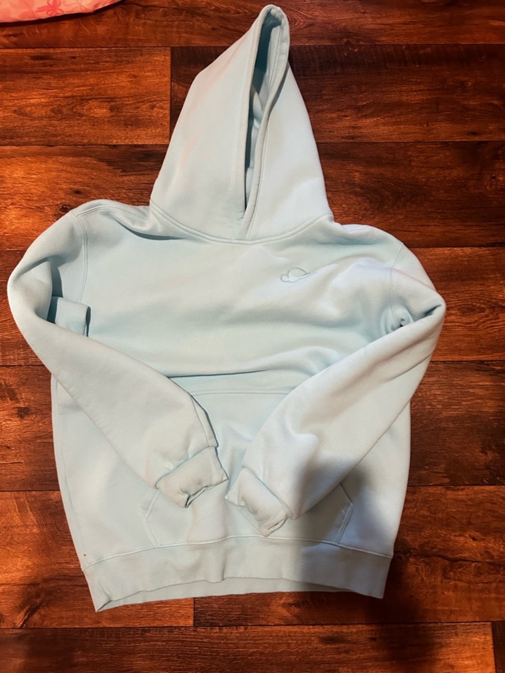 Cozy Light Blue Hooded Sweatshirt - Women's Pullover